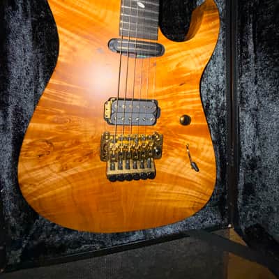 Caparison Dellinger-SH-BM Custom Line 2025 - Very cool image 10