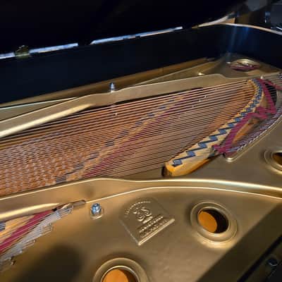 Steinway & Sons 9ft Model D 1974 - Satin Ebony image 7