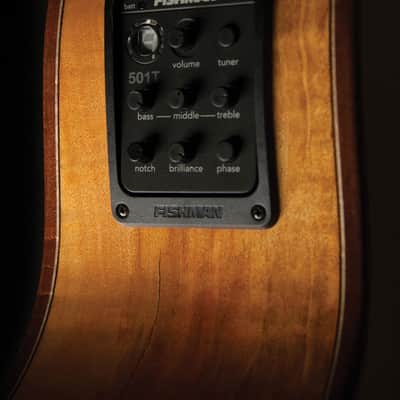 Washburn Comfort Deluxe 66 G66SCE Acoustic-Electric - Spalted Maple (WCG66SCE-O-U) image 4