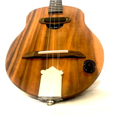 Acoustic/electric dulcimer guitars image 4