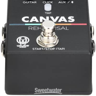 Walrus Audio Canvas Rehearsal Pedal (CanvasRehd1) image 6