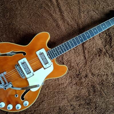 Very Rare Vintage Eko Barracuda Thinline Model 290 Made In Bella Italia image 2