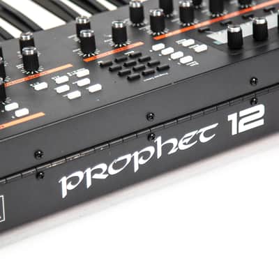 Dave Smith Instruments Prophet 12 Owned by Martin Gore of Depeche Mode image 7