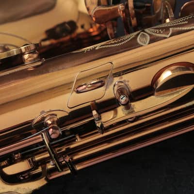 Cannonball Cannonball Alto AV-PC-L Pete Christlieb Model Alto Saxophone [V1508030] [11/12] image 8