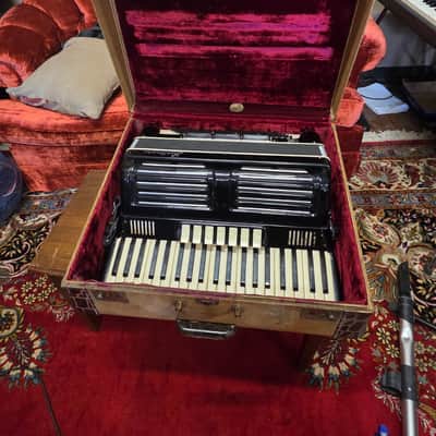 Bertini Piano Accordion 41/120 The RIVA No. 660 W Original Case And Straps image 12
