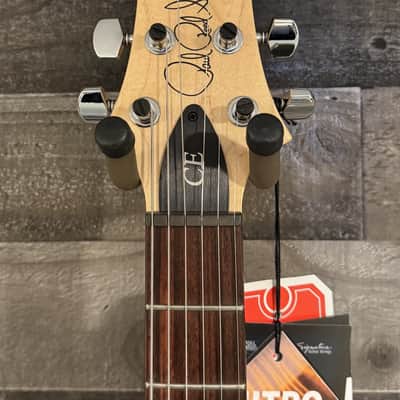 PRS CE 24-08 Swamp Ash Limited Edition image 5