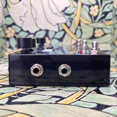 Pigtronix infinity Looper and Footswitch Remote - Used image 6