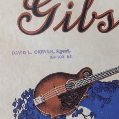 Gibson Catalog 'L', 1920, Remarkable Condition image 2