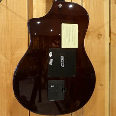Line 6 Variax Acoustic 700 (2006) image 4