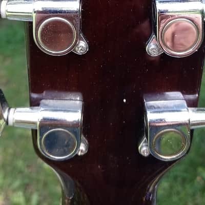 Rogue Acoustic/ Electric image 7