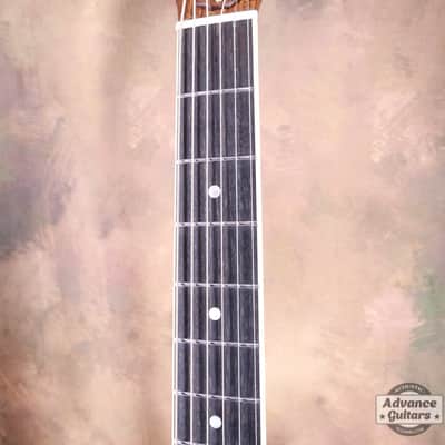 Taylor 25th Anniversary 1999 (310-M) image 9