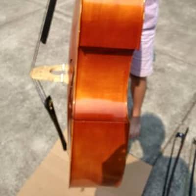 Samuel Eastman VB80 1/4 size acoustic bass 2013 amber image 8