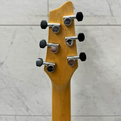 Godin Radiator 2005 image 6