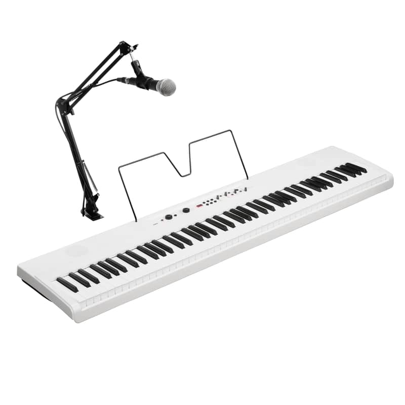 Korg Liano Live Streaming Digital Piano w/ Microphone image 1