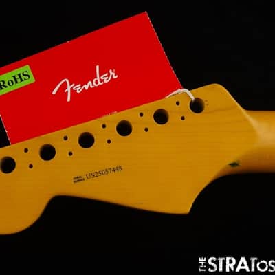 Fender American * Professional II Strat, NECK Deep C, 9.5 image 8