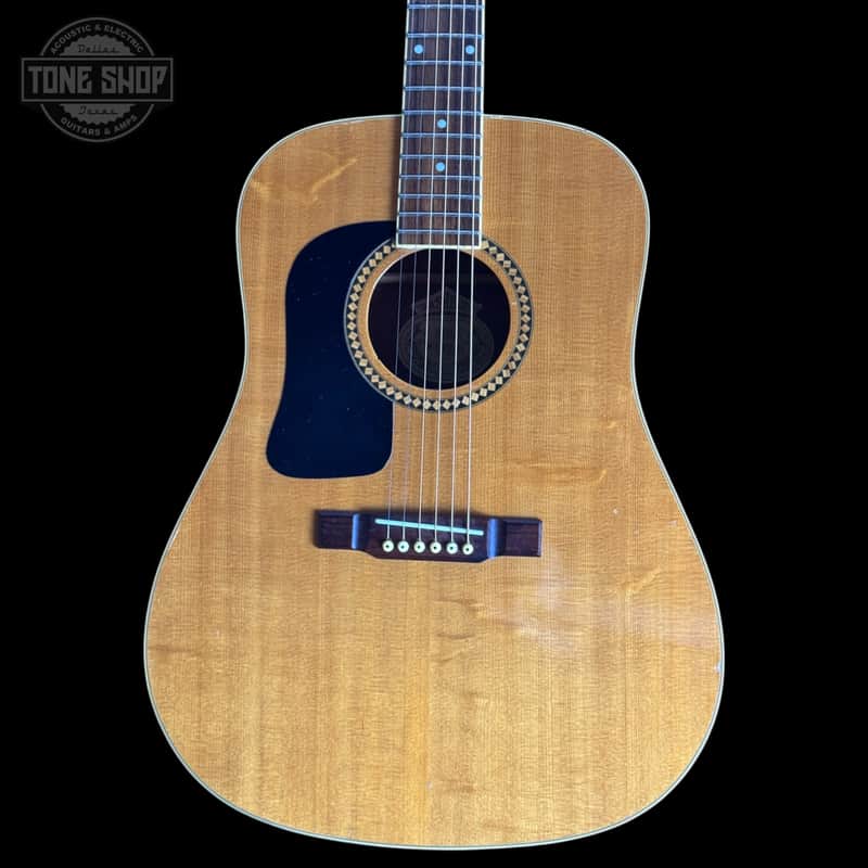 Used Washburn D10SLH Left Handed Acoustic Guitar w/bag TSS7175 image 1