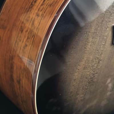 Washburn 6 String Acoustic Guitar, Right (BTS9CH-D) image 2