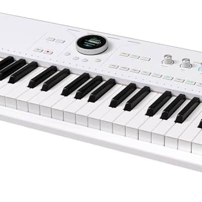 Arturia AstroLab 61-Key Semi-Weighted Stage Keyboard — With 1300 Sounds and Analog Lab Pro Software Included image 2