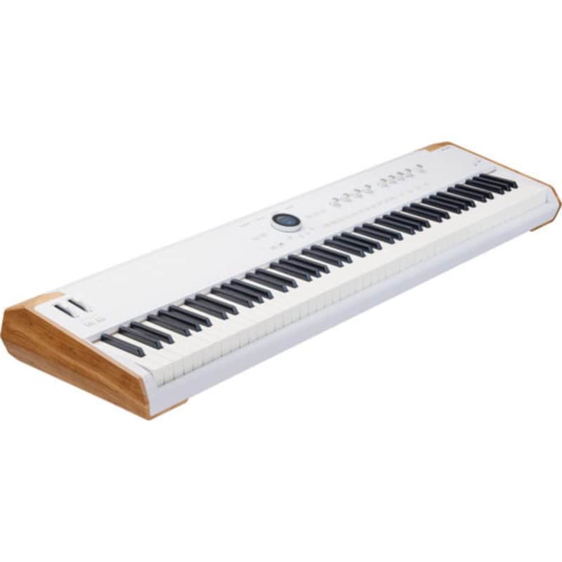 Arturia AstroLab 88-Key Stage Keyboard | Reverb