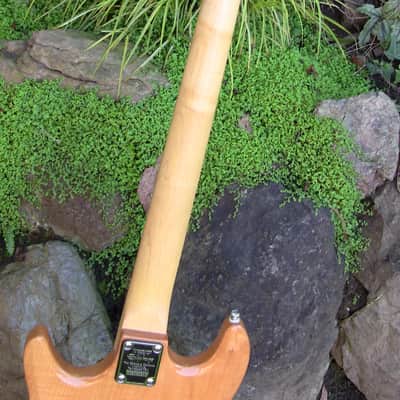 Epiphone Ripper 2006 Natural image 16
