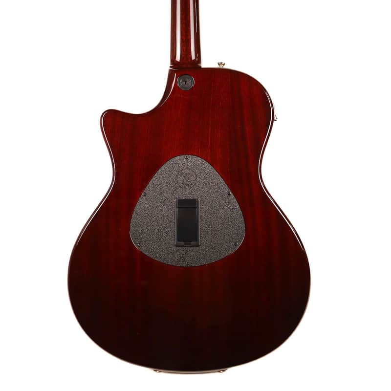 Taylor T5C3-12 Custom Cocobolo 12-String image 3