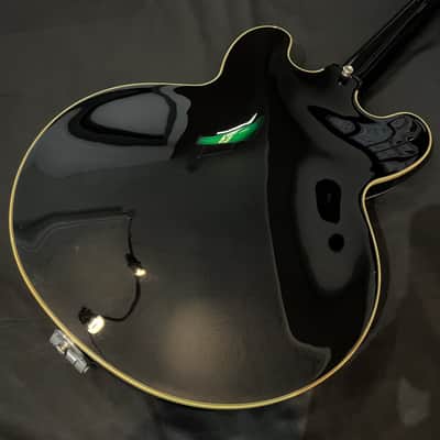Epiphone Shinichi Ubukata ES-335 image 5