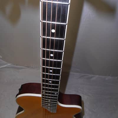 Epiphone SST Coupe 2018 - 2019 - Antique Natural image 5