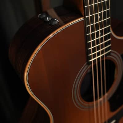 Taylor 414ce Studio Special Edition 2026 - Honeyburst image 5