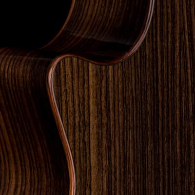 Mint Taylor Custom GA Rosewood/Adirondack Spruce - Midnight Burst #74119 image 9