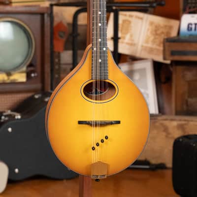 Eastman PCH-M104-GB Solid Spruce/Laminated Mahogany Goldburst Flattop A-Style Mandolin #1880 image 6