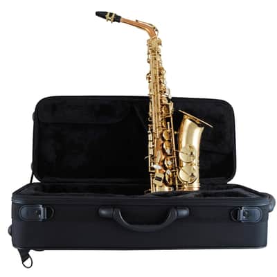 Selmer SAS511C Intermediate Eb Alto Saxophone Black Nickel Plated image 5
