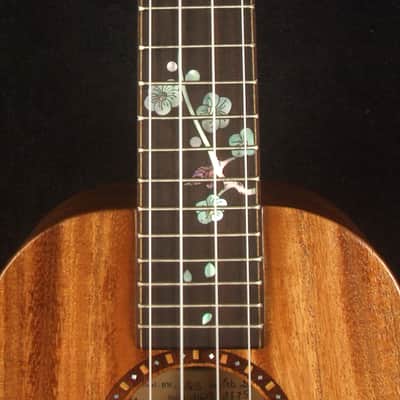 Handmade Concert Ukulele, Solid Taiwania, Pommele, TAIWAN Map, Soft-bag, Bruce Wei UG15-2875 image 8