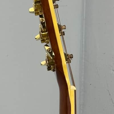 Jay Turser JTAC-50EQ Acoustic-Electric Cutaway Guitar w/ Brand New Great Divide Gig Bag image 13