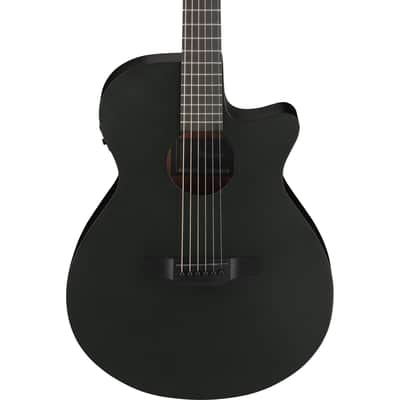 Ibanez AEG621 AEG Acoustic Electric Guitar - Black Out image 1