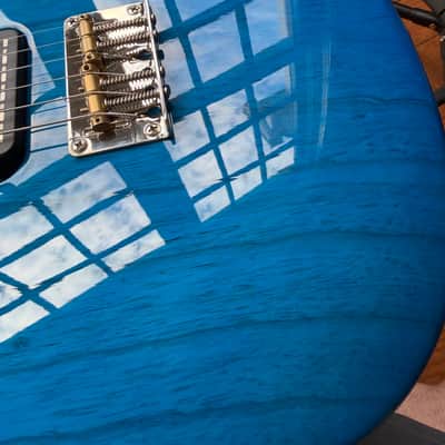 2024 PRS NF 53 - Blue Matteo image 13