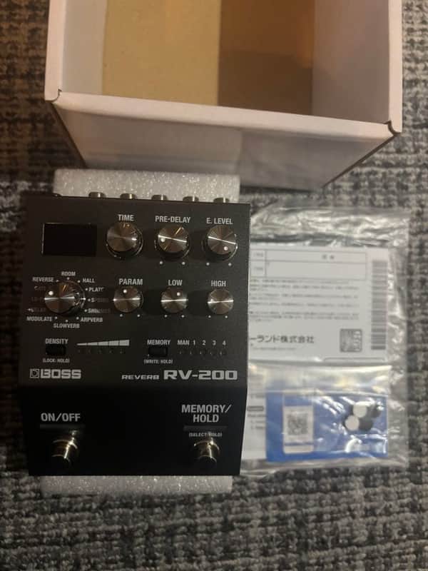 Boss RV-200