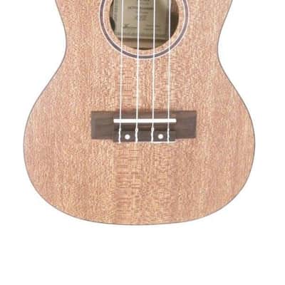 Journey UC770CE - Solid Top Meranti Electric Concert Ukulele w/Case image 2