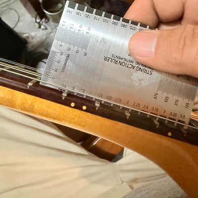 Fernandes MA-55 1970 - Natural image 16