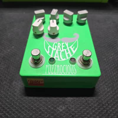 Fuzzrocious Grey Stache 2014 - Hand Painted image 1