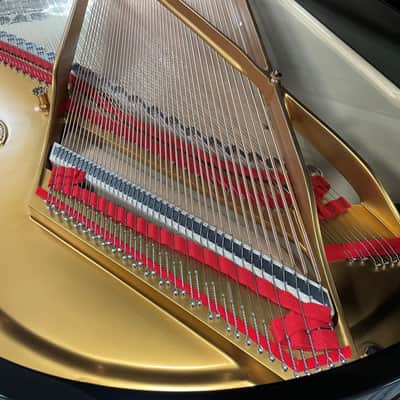 Steinway Model O 5'10" Grand Piano 1901 (Restored) - Polished Ebony image 16