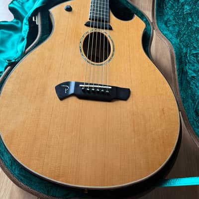 Parker P8E-N acoustic with case US CUSTOMERS TARIFF FRES ARE iNCLUDED IN SHIPPING COST AND PREPAID. image 1