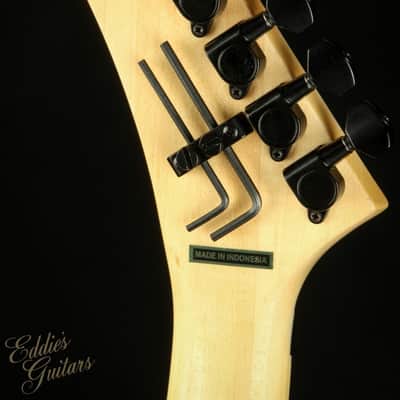 2022 - Kramer Baretta, Custom Graphics, “Feral Cat” Rainbow Leopard image 8