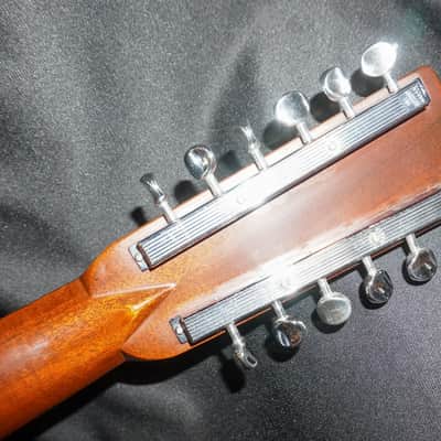 Martin D12-28 1971 image 11