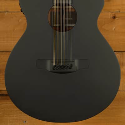 Ibanez AEG1221 AEG Series Electro-Acoustic - Macassar Ebony - Black Out - 12-String image 1