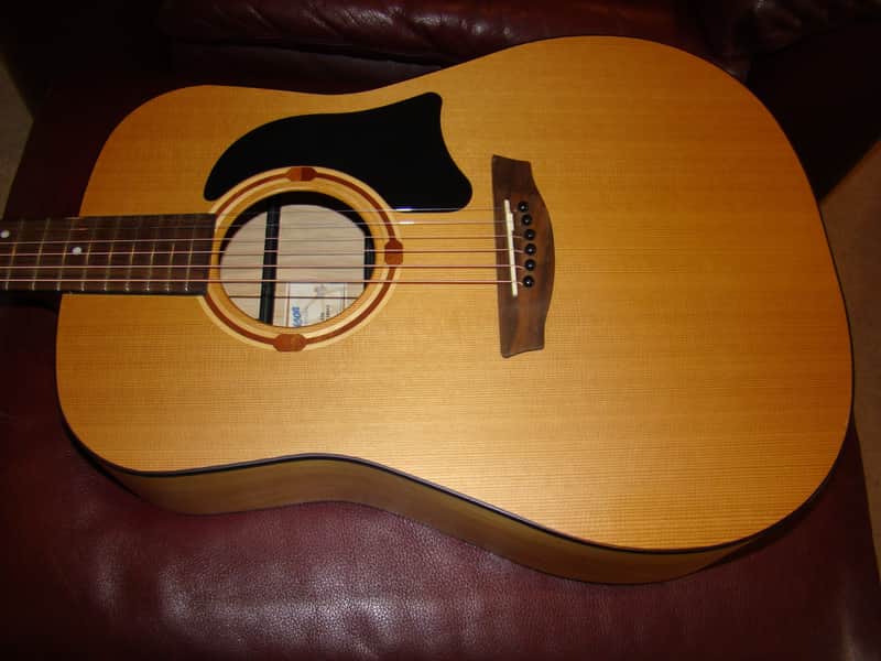 Rare Garrison G20 Solid Wood Acoustic Guitar & Case, Newfoundland