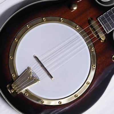 Gold Tone EBM-5 F-style electric 5-string Banjo w/ CASE - Planet Tuners -B-stock image 5