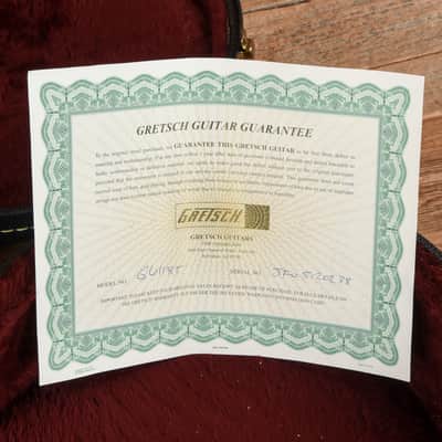 Gretsch G6118T Double Anniversary Smoke Green 2005 image 10