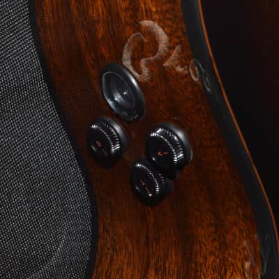 2023 Breedlove - Wildwood Pro Series Concert Suede CE image 2