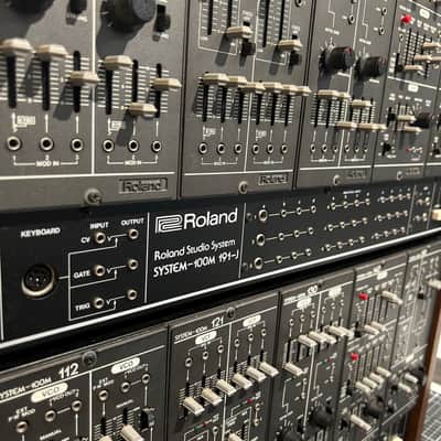 Dual Roland System 100M Modular System / Fully restored by VS&C image 11