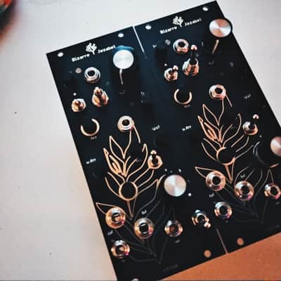 bizarre | jezabel Chloe black gold Vacuum Tube Distortion, Filter,Delay and LPG/VCA image 1